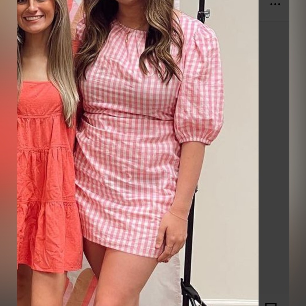 Pink Gingham Dress